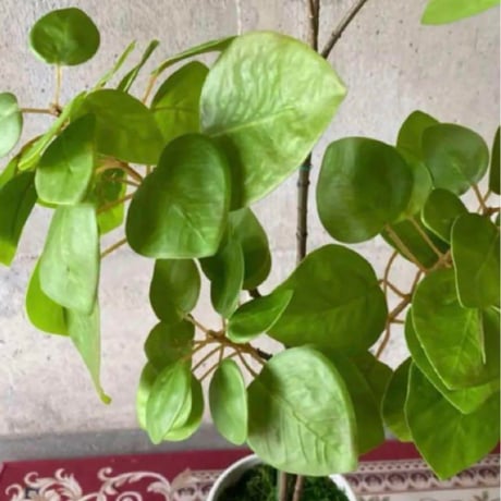 光触媒　人工観葉植物　ウォールグリーン　フェイクグリーン　ナンキンハゼ12343