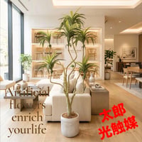 光触媒　人工観葉植物　ウォールグリーン　フェイクグリーン　コンシンネ13065