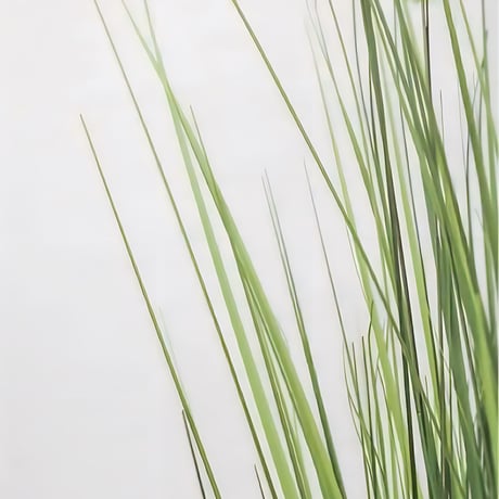 光触媒　人工観葉植物　ウォールグリーン　フェイクグリーン　ボールグラス91