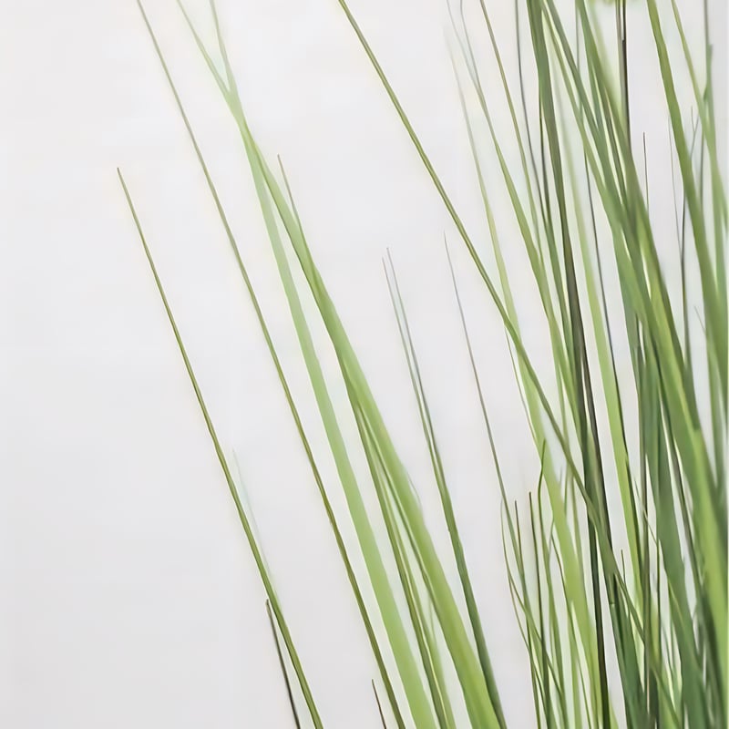 光触媒 人工観葉植物 ウォールグリーン フェイクグリーン ボールグラス 