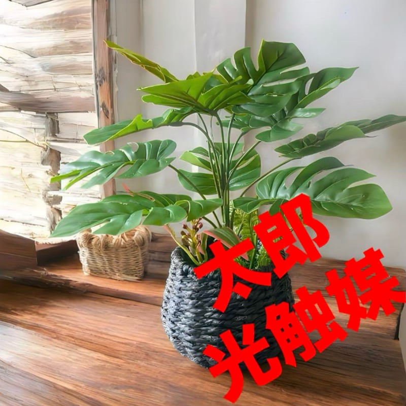 光触媒 人工観葉植物 ウォールグリーン フェイクグリーン モンステラ75