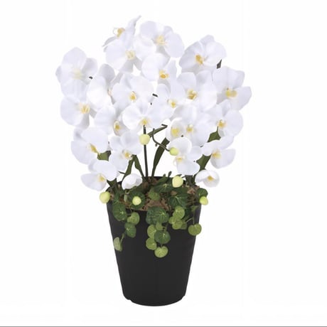 光触媒　人工観葉植物　ウォールグリーン　フェイクグリーン　プリンセス胡蝶蘭w