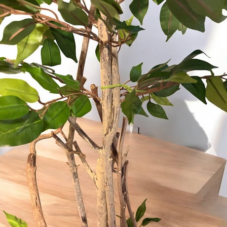 光触媒　人工観葉植物　ウォールグリーン　フェイクグリーン　ベンジャミン13058