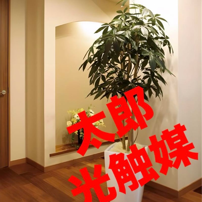 光触媒 人工観葉植物 フェイクグリーン デザインベンジャミン1.8