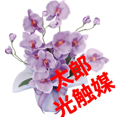 光触媒　人工観葉植物　ウォールグリーン　フェイクグリーン　胡蝶蘭　ホットファレノ