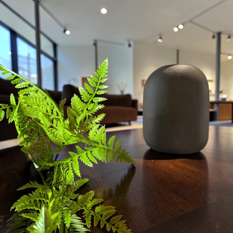 光触媒　人工観葉植物　ウォールグリーン　フェイクグリーン　シーグレープトラカン@