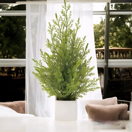 光触媒　人工観葉植物　ウォールグリーン　フェイクグリーン　ミニゴールドクレスト