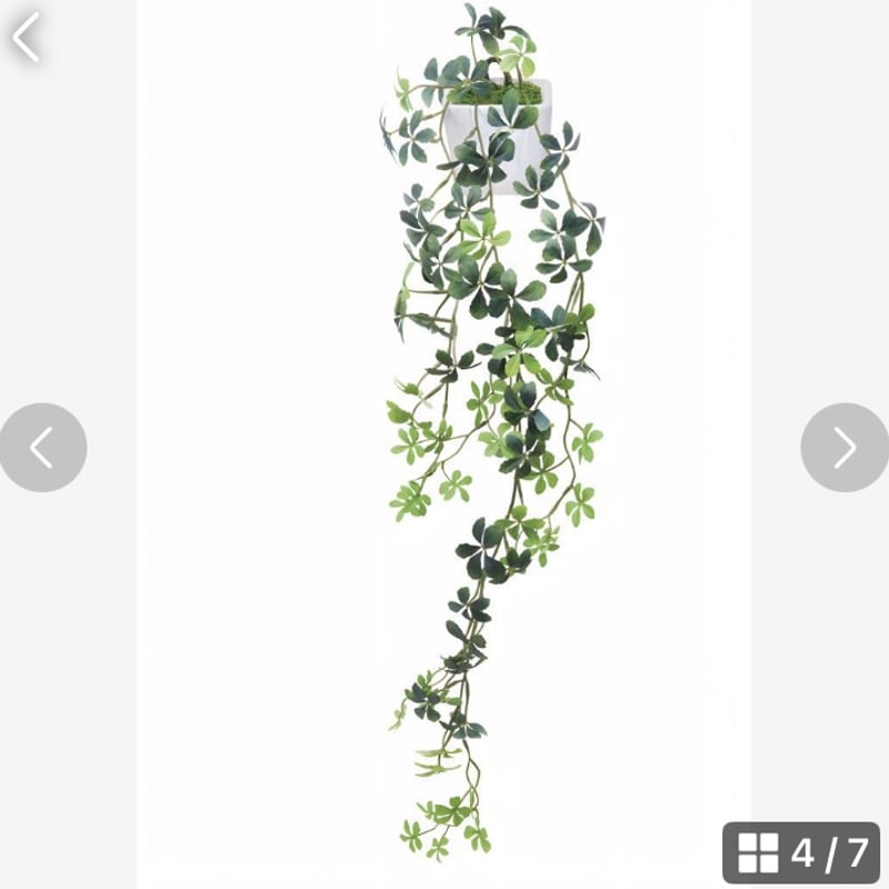 光触媒 人工観葉植物 ウォールグリーン フェイクグリーン 壁掛け 光触媒 人工観葉植物 ウォールグリーン フェイクグリーン 壁掛け