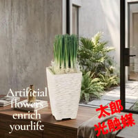 光触媒　人工観葉植物　ウォールグリーン　フェイクグリーン　オニオングラス