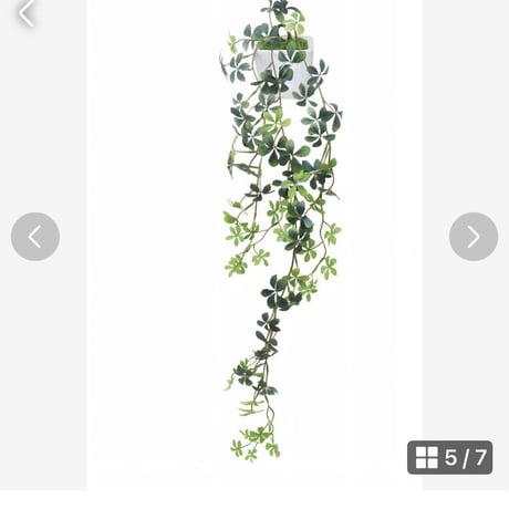 光触媒　人工観葉植物　ウォールグリーン　フェイクグリーン　壁掛けシュガーバイン