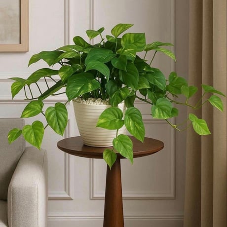 光触媒　人工観葉植物　ウォールグリーン　フェイクグリーン　特大ポトス3