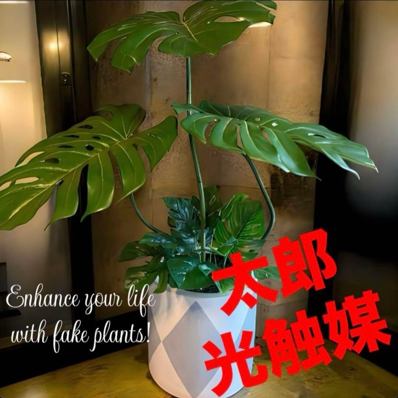 光触媒　人工観葉植物　ウォールグリーン　フェイクグリーン　ゾウs 光触媒 人工観葉植物 ウォールグリーン フェイクグリーン ゾウs