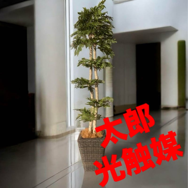 光触媒 人工観葉植物 ウォールグリーン フェイクグリーン シェフレア