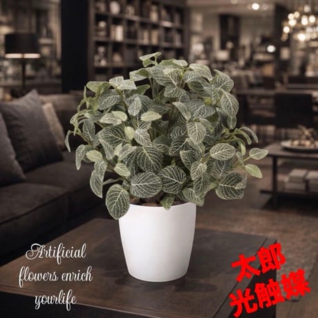 光触媒　人工観葉植物　ウォールグリーン　フェイクグリーン　フィットニアM