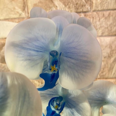 光触媒　人工観葉植物　ウォールグリーン　フェイクグリーン　リアル胡蝶蘭ｂｌ