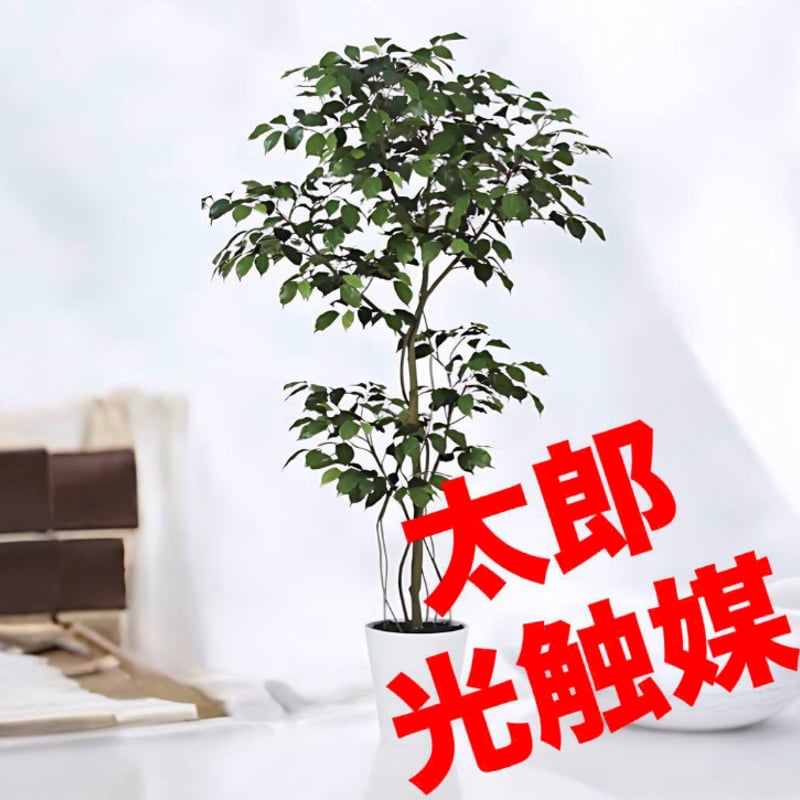 光触媒 人工観葉植物 ウォールグリーン フェイクグリーン ボダイジュ