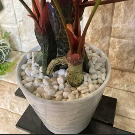 光触媒　人工観葉植物　ウォールグリーン　フェイクグリーン　モンステラ5