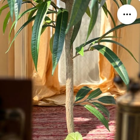 光触媒　人工観葉植物　ウォールグリーン　フェイクグリーン　アジアン風ショウナンゴム