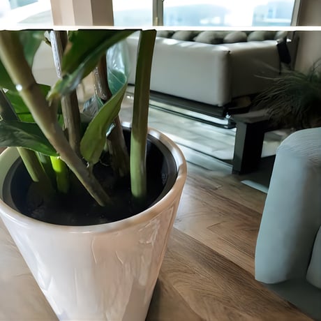 光触媒　人工観葉植物　ウォールグリーン　フェイクグリーン　ザミフォリアH