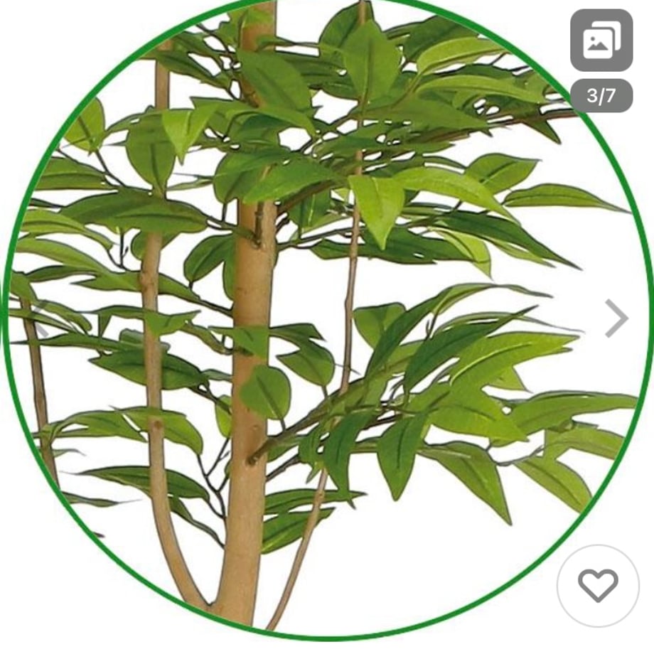 6698d99ba7ffd402beeeae19