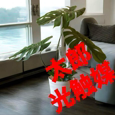 光触媒　人工観葉植物　ウォールグリーン　フェイクグリーン　モンステラ特大84