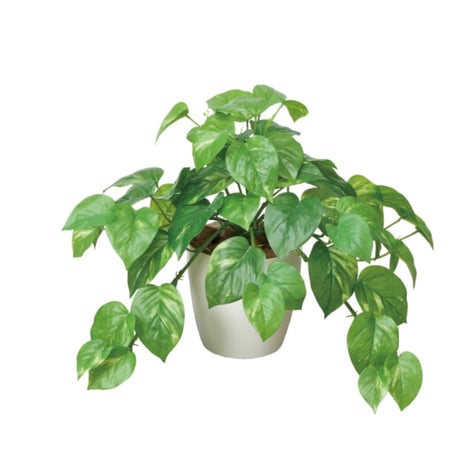 光触媒　人工観葉植物　ウォールグリーン　フェイクグリーン　フレッシュポトスm