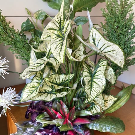 光触媒　人工観葉植物　ウォールグリーン　フェイクグリーン　カラジュームアレンジw