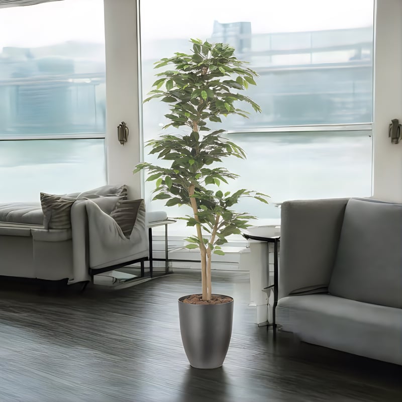 光触媒 人工観葉植物 フェイクグリーン インテリアベンジャミン1.6