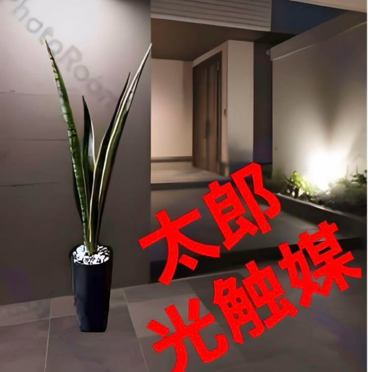 光触媒 人工観葉植物 ウォールグリーン フェイクグリーン サンスベリア