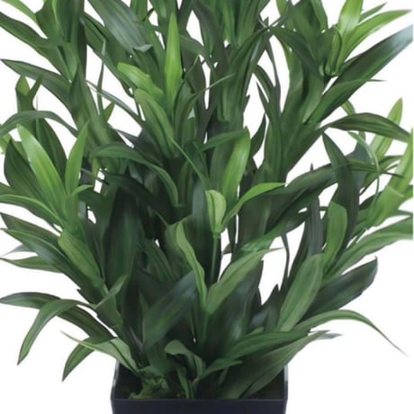光触媒　人工観葉植物　ウォールグリーン　フェイクグリーン　スパイダー