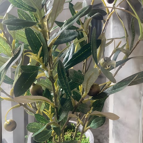 光触媒　人工観葉植物　ウォールグリーン　フェイクグリーン　オリーブとバロック58