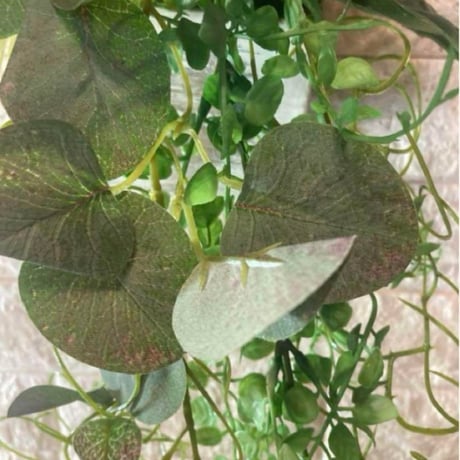 光触媒　人工観葉植物　ウォールグリーン　フェイクグリーン　南国風壁掛け5039z