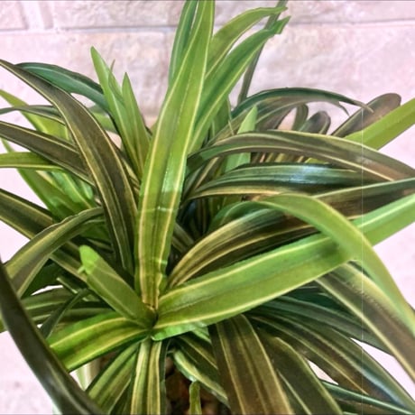光触媒　人工観葉植物　ウォールグリーン　フェイクグリーン　オリヅルランg