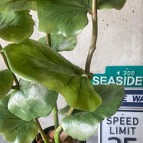 光触媒　人工観葉植物　ウォールグリーン　フェイクグリーン　シーグレープ120
