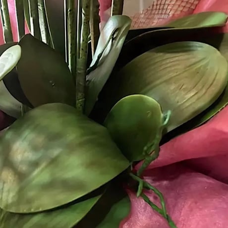 光触媒　人工観葉植物　ウォールグリーン　フェイクグリーン　リアル胡蝶蘭10本