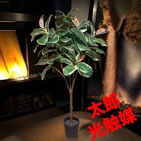 光触媒　人工観葉植物　ウォールグリーン　フェイクグリーン　斑入りゴムの木1808