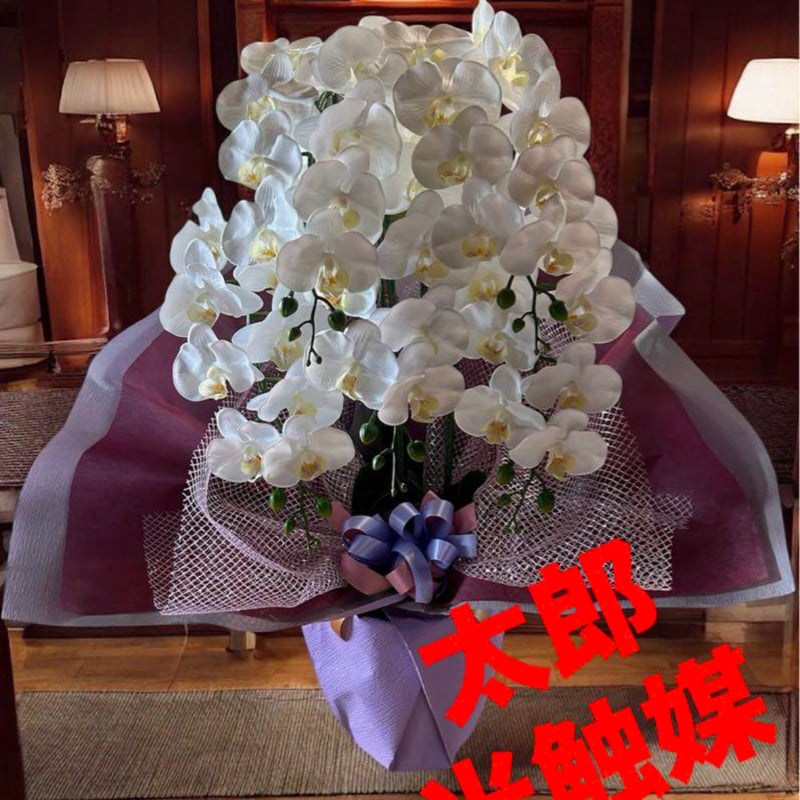 光触媒　人工観葉植物　ウォールグリーン　フェイクグリーン　花器付アレカヤシ147 光触媒 人工観葉植物 ウォールグリーン フェイクグリーン 壁掛け