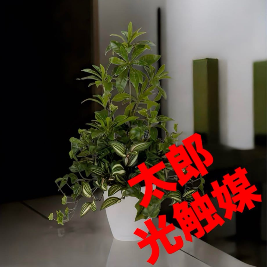 677bd4c5117e110514fa1ee3