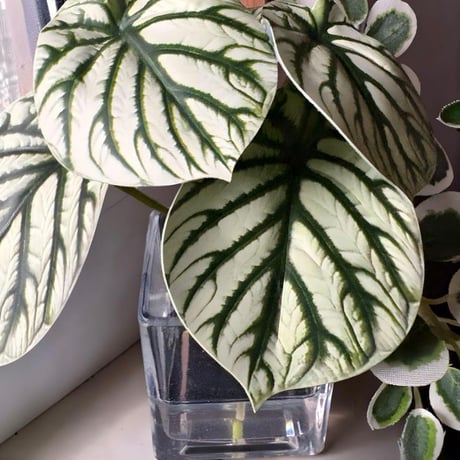 光触媒　人工観葉植物　ウォールグリーン　フェイクグリーン　マジカルウォーター1722