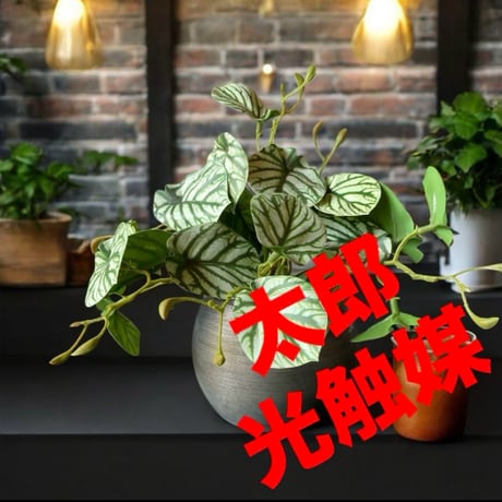 光触媒　人工観葉植物　ウォールグリーン　フェイクグリーン　スイカぺぺ2530