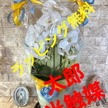 光触媒　人工観葉植物　ウォールグリーン　フェイクグリーン　胡蝶蘭7035aj