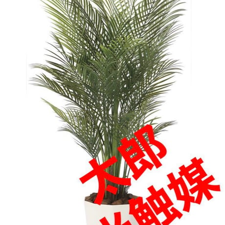 光触媒　人工観葉植物　ウォールグリーン　フェイクグリーン　アレカパーム1.7