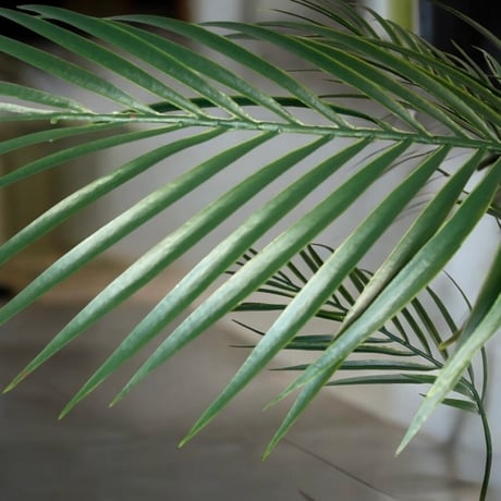 光触媒　人工観葉植物　ウォールグリーン　フェイクグリーン　花器付アレカヤシ147