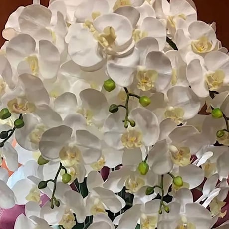 光触媒　人工観葉植物　ウォールグリーン　フェイクグリーン　リアル胡蝶蘭10本