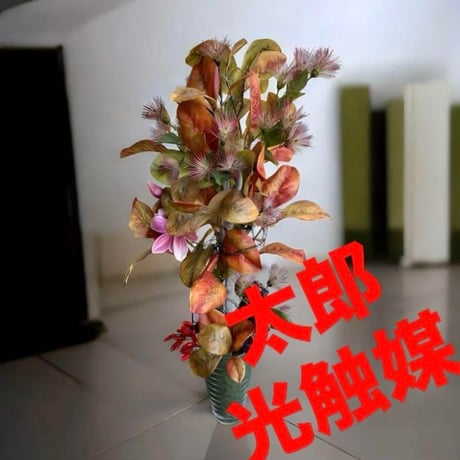 光触媒　人工観葉植物　ウォールグリーン　フェイクグリーン　トキワネムツリー