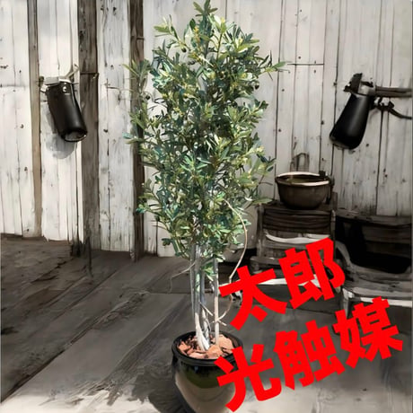 光触媒　人工観葉植物　ウォールグリーン　フェイクグリーン　オリーブtja