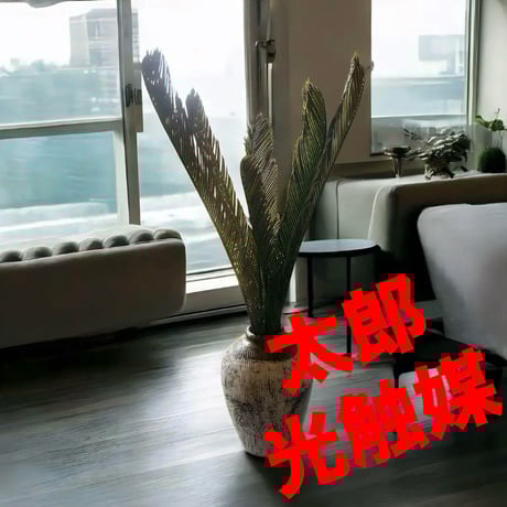 光触媒　人工観葉植物　ウォールグリーン　フェイクグリーン　花器付アレカヤシ投入れ