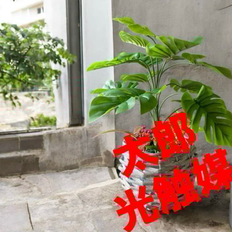 光触媒　人工観葉植物　ウォールグリーン　フェイクグリーン　モンステラ3327@