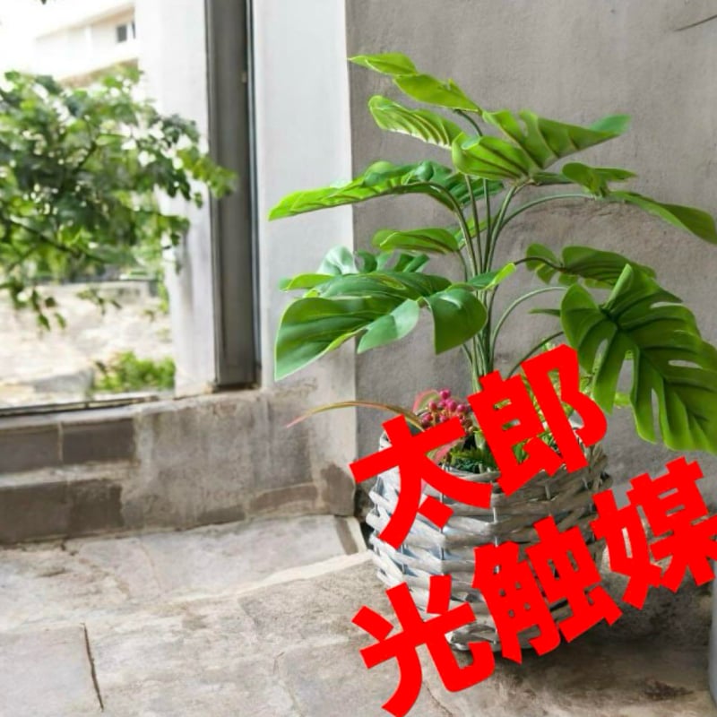 光触媒　人工観葉植物　ウォールグリーン　フェイクグリーン　モンステラヘゴw 光触媒 人工観葉植物 ウォールグリーン フェイクグリーン