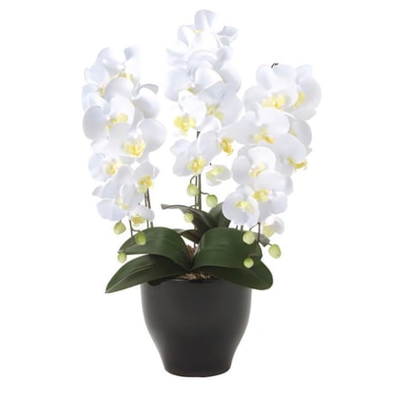 光触媒　人工観葉植物　ウォールグリーン　フェイクグリーン　胡蝶蘭　セリースw